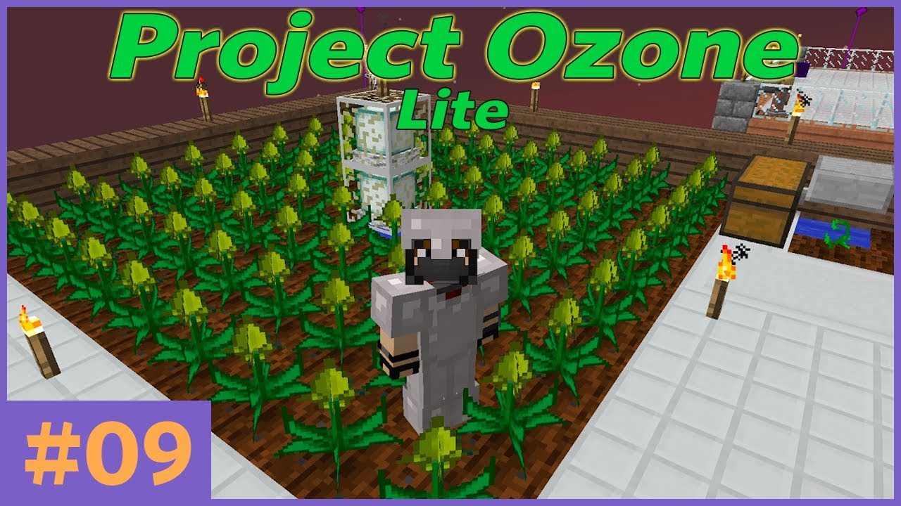 Project ozone 3 map